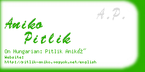 aniko pitlik business card